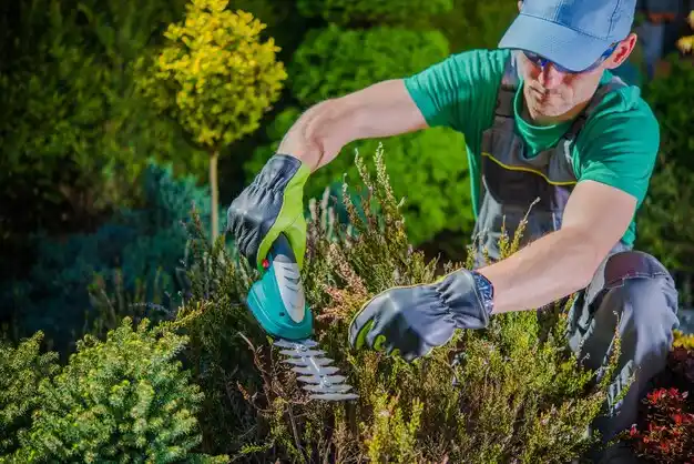 landscaping services Lanagan